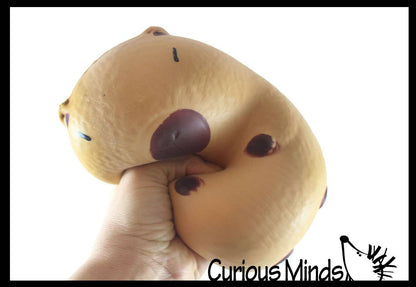 1 Jumbo Capybara Doh Filled Squishy Squeeze Stress Ball Soft