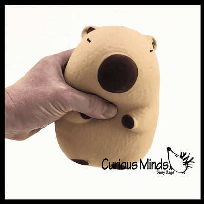 1 Jumbo Capybara Doh Filled Squishy Squeeze Stress Ball Soft