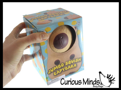 1 Jumbo Capybara Doh Filled Squishy Squeeze Stress Ball Soft