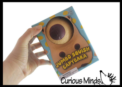 1 Jumbo Capybara Doh Filled Squishy Squeeze Stress Ball Soft
