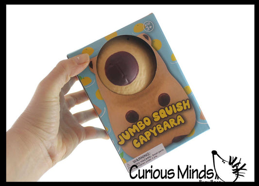 1 Jumbo Capybara Doh Filled Squishy Squeeze Stress Ball Soft