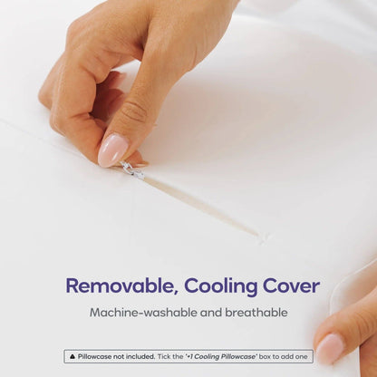 2 CloudAlign Pillows + 2 Free Cooling Pillowcases