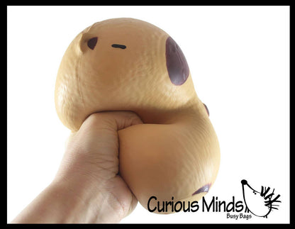 1 Jumbo Capybara Doh Filled Squishy Squeeze Stress Ball Soft